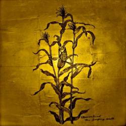 Wovenhand : The Laughing Stalk